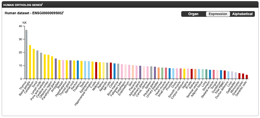 COCA1 RNA Analysis