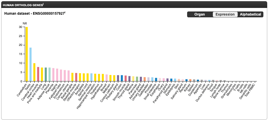 RADI RNA Analysis