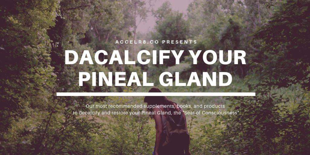 Top Resources for a Healthy Vagus Nerve