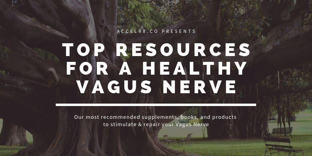 Top Products for Vagus Nerve Health