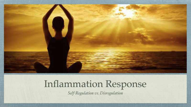 Inflammation Response: Self-Regulation vs Dysregulation