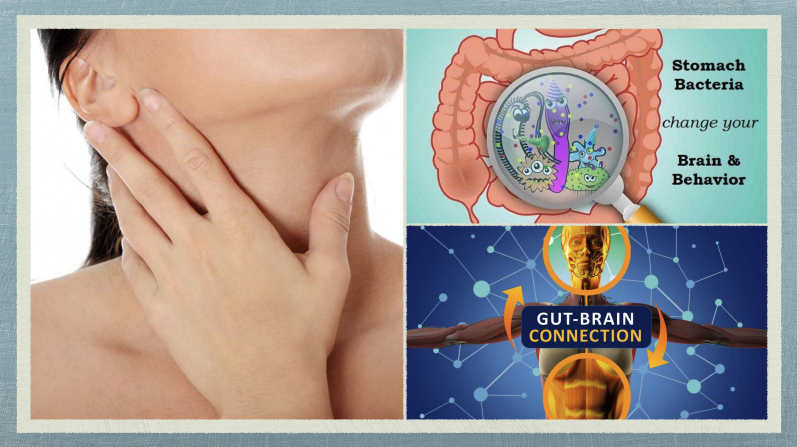 The Gut-Brain Connection — stomach bacteria, brain & behavior