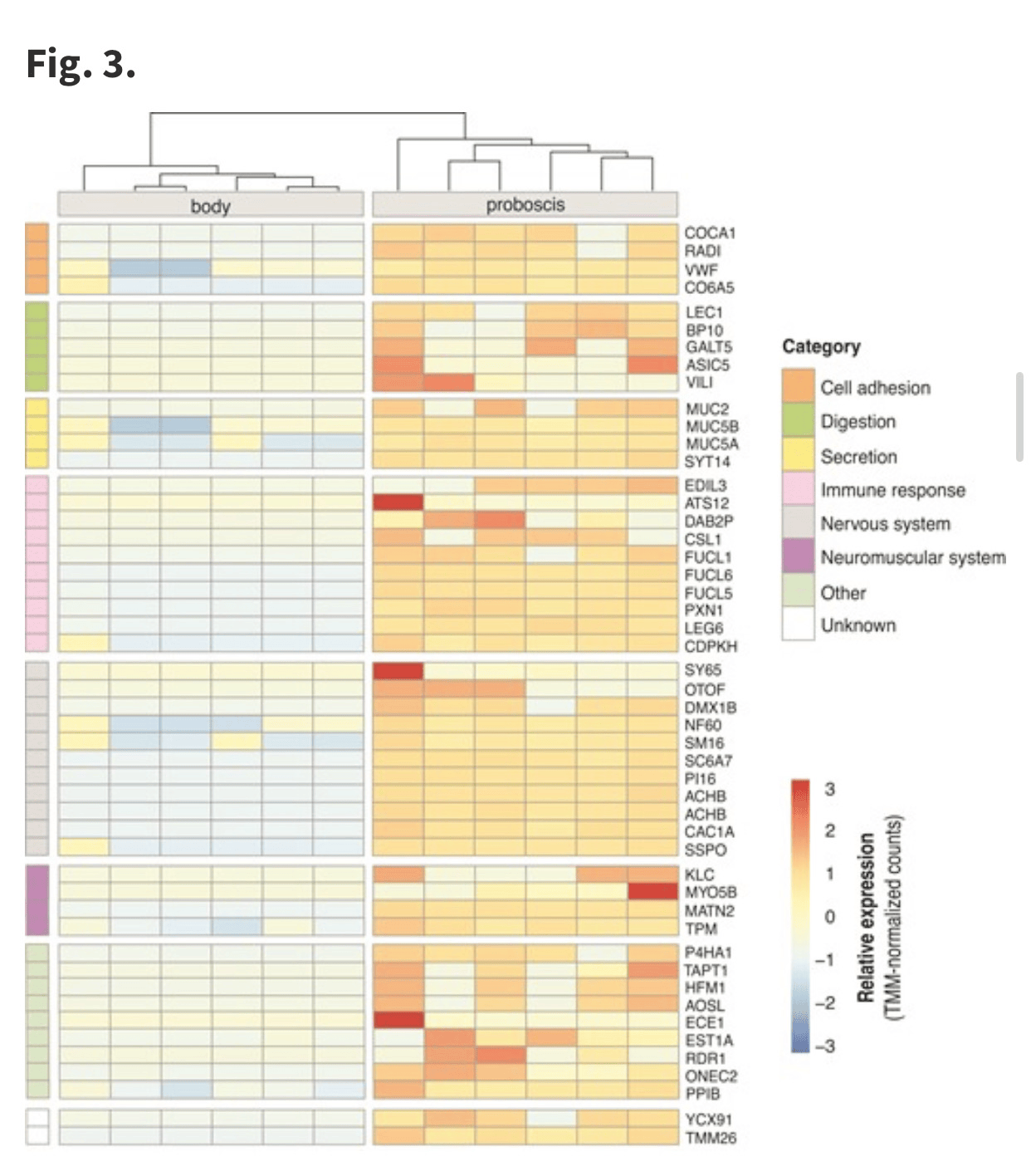 RNA Analysis