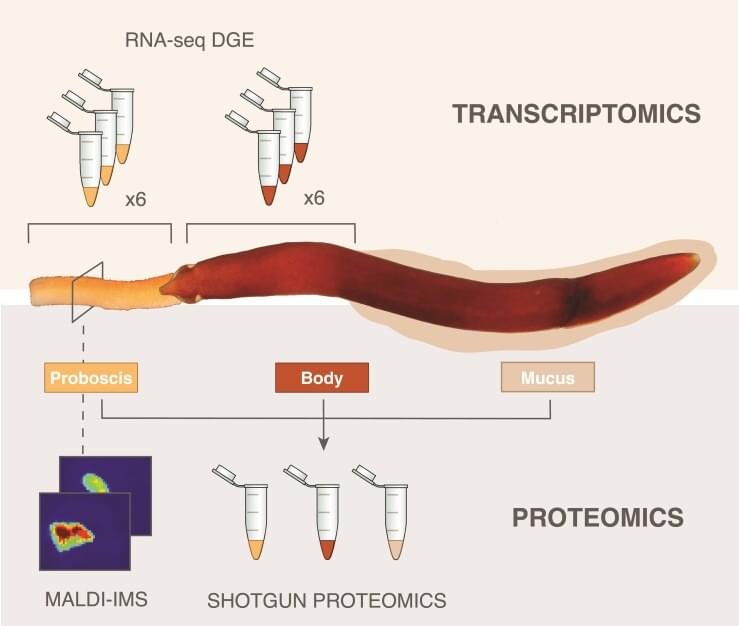 RNA Study Results